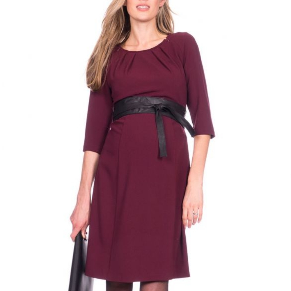 Seraphine maternity and nursing dress Size 6